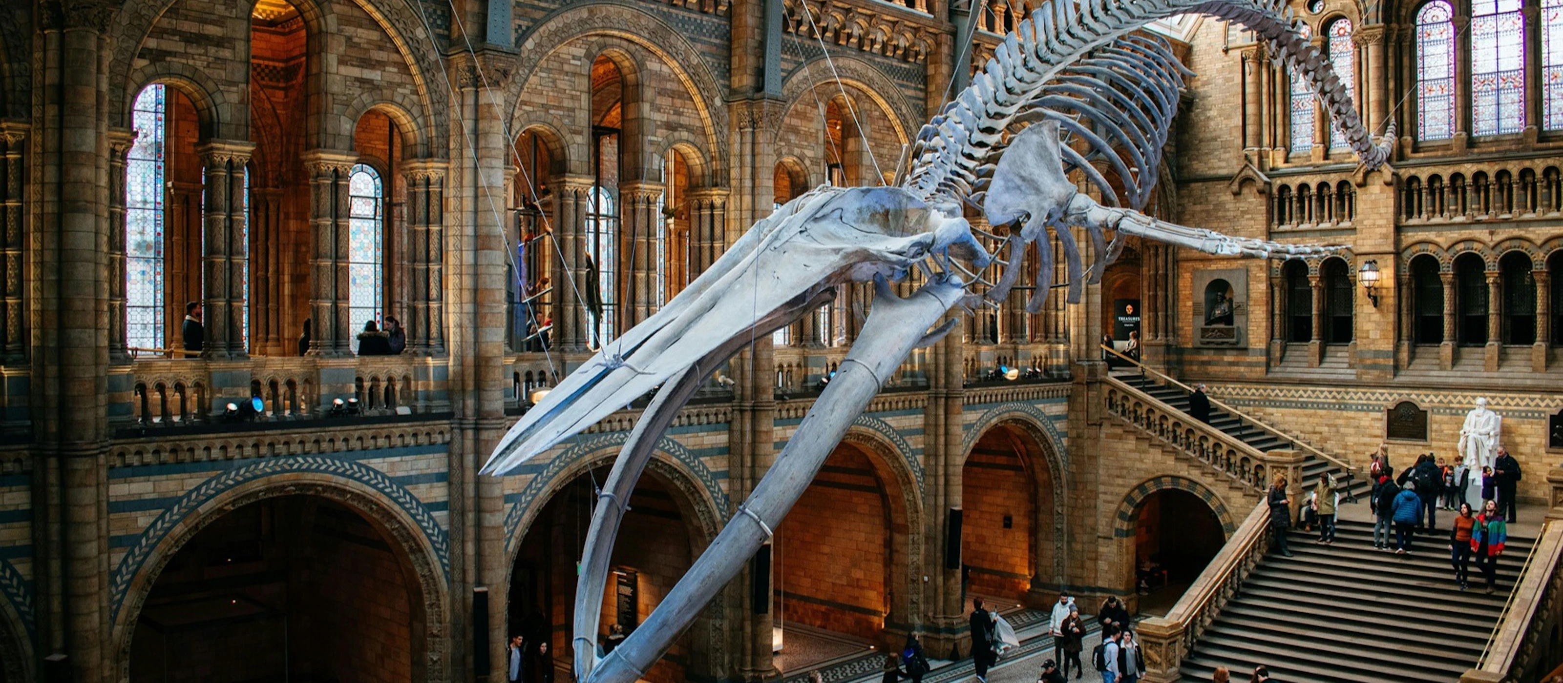 Naturhistorisches Museum London: Reservierter Eintritt + Führung + Audioguide