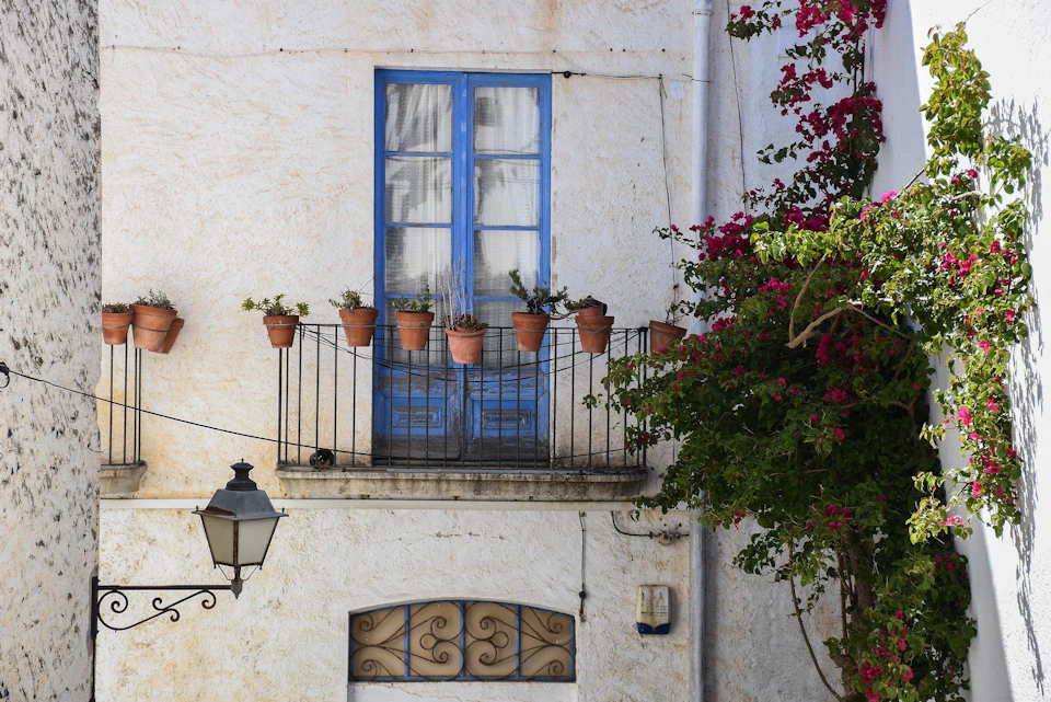 Blue-framed window with balcony holding potted plants, ornate lamp, and flowering vine against a white wall.