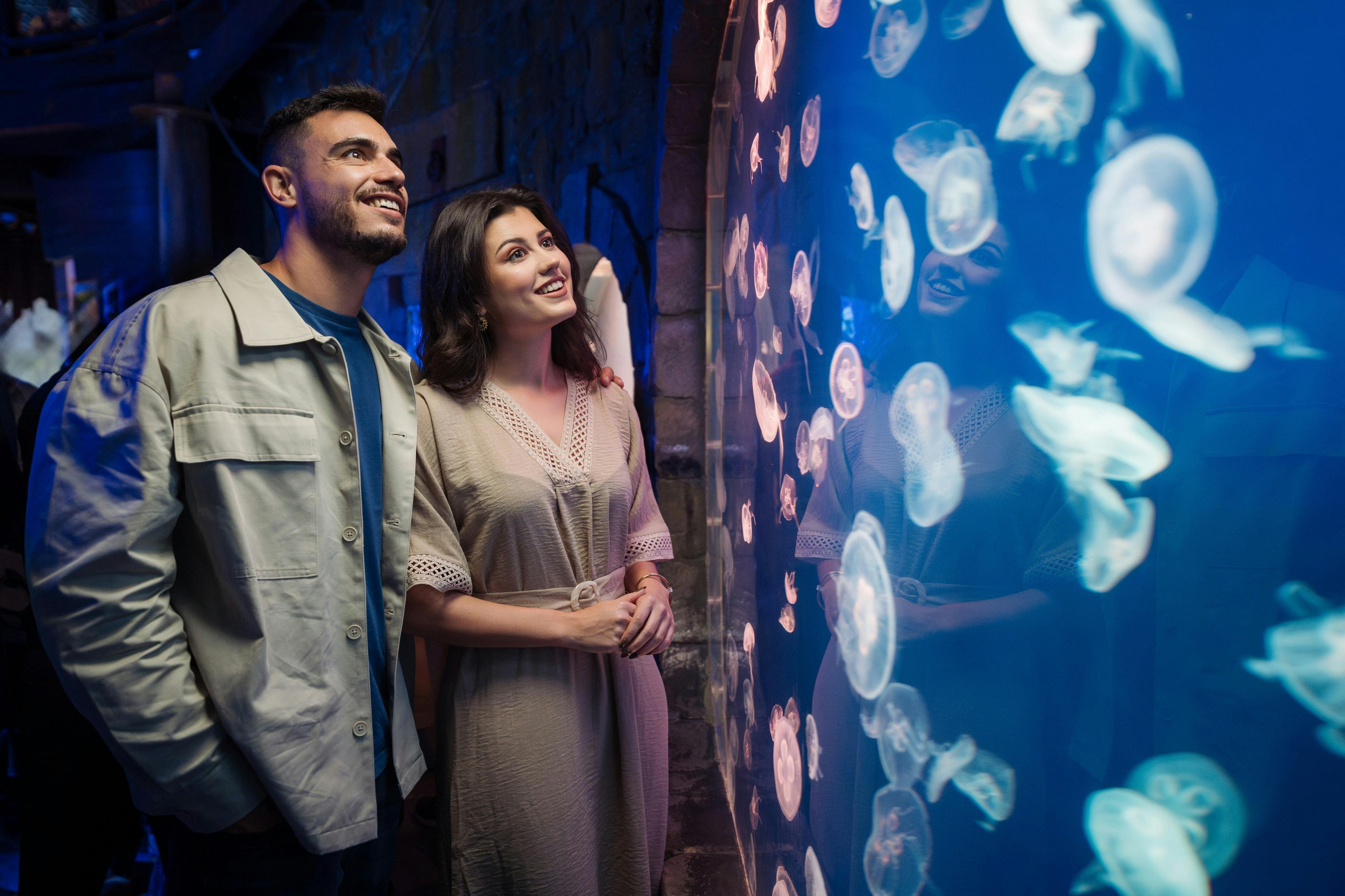 迪拜水族馆+天空景观组合