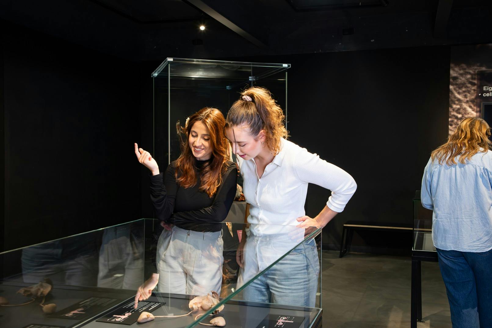 Zwei Frauen begutachten Objekte in einer Glasvitrine in einem schwach beleuchteten Ausstellungsraum.