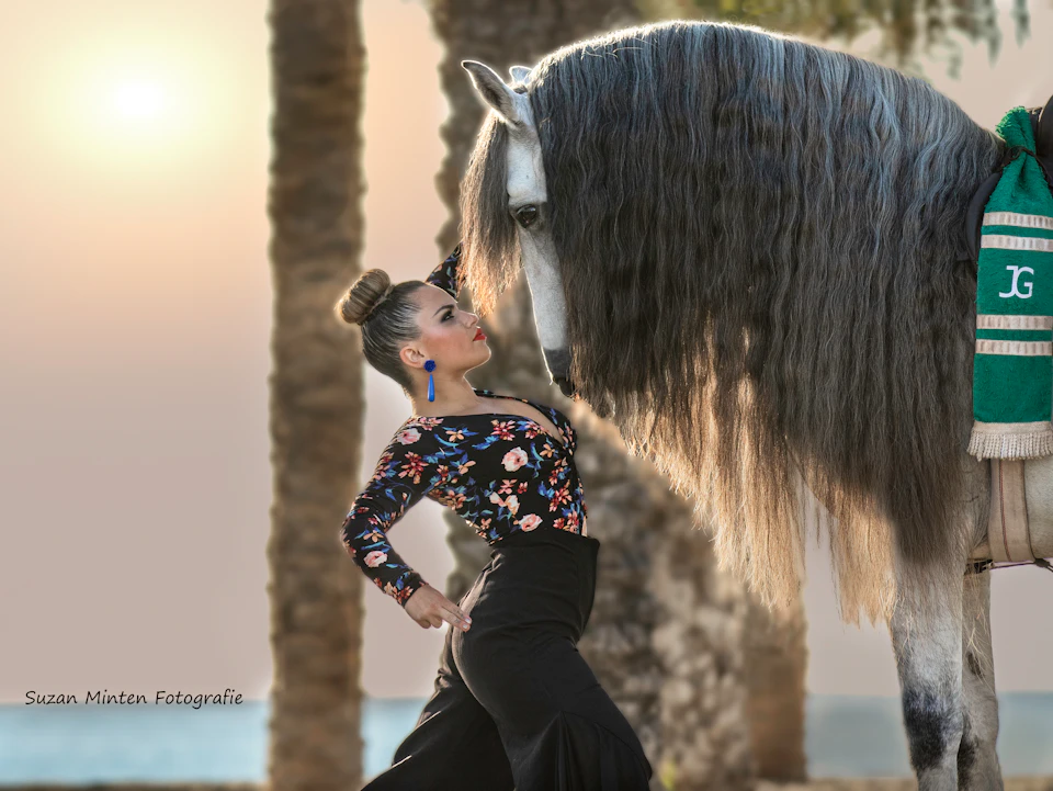 A woman in a floral top and black skirt poses dramatically with a large horse, set against a backdrop of palm trees at sunset.