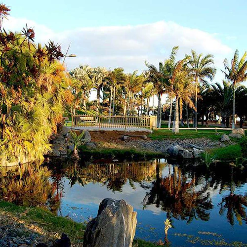 Palmen und Grünpflanzen, die sich in einem Teich spiegeln, mit Felsen und einer kleinen Brücke im Hintergrund unter einem blauen Himmel mit Wolken.