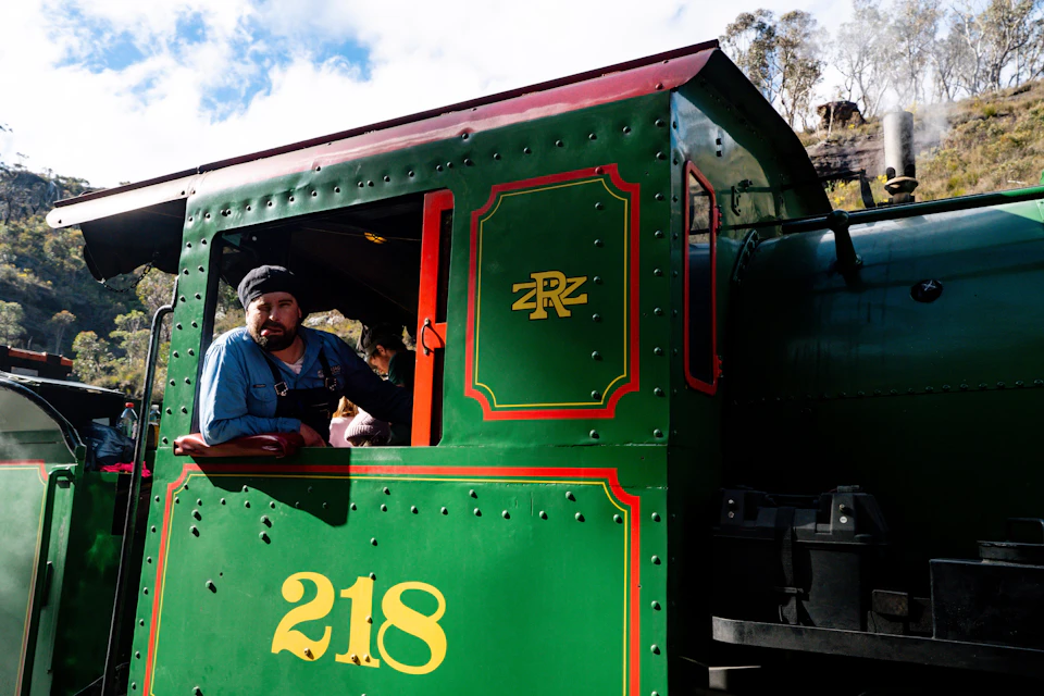 A train engineer leans out of the green locomotive marked '218' with a scenic background of trees and sky.