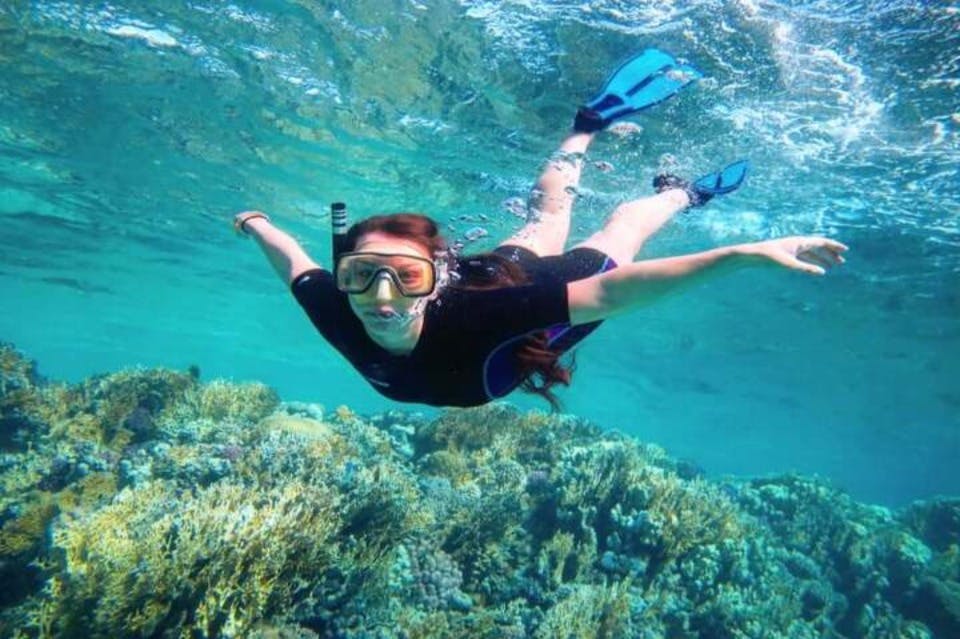 marsa_mubarak_coral_reef