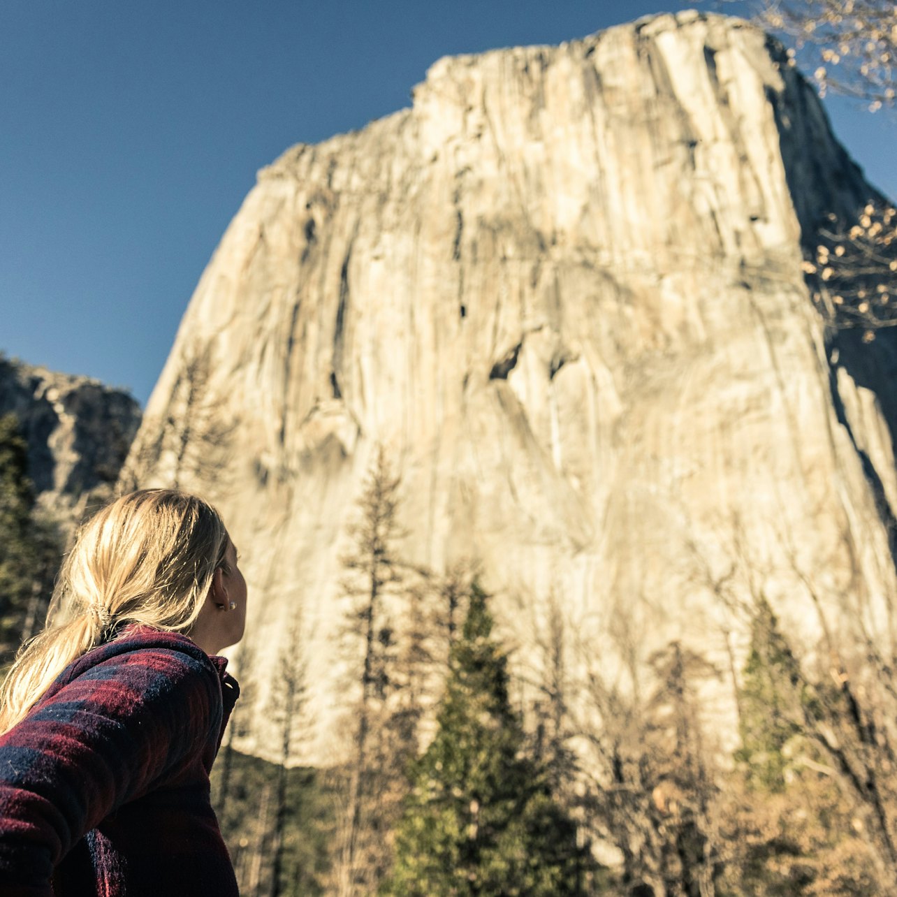 Desde San Francisco: Excursión de 1 día a Yosemite y las Secuoyas Gigantes - Alojamientos en San Francisco