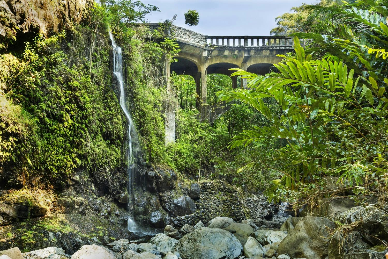 A small waterfall flows down a rocky cliff surrounded by lush vegetation, near an arched stone bridge in the background.