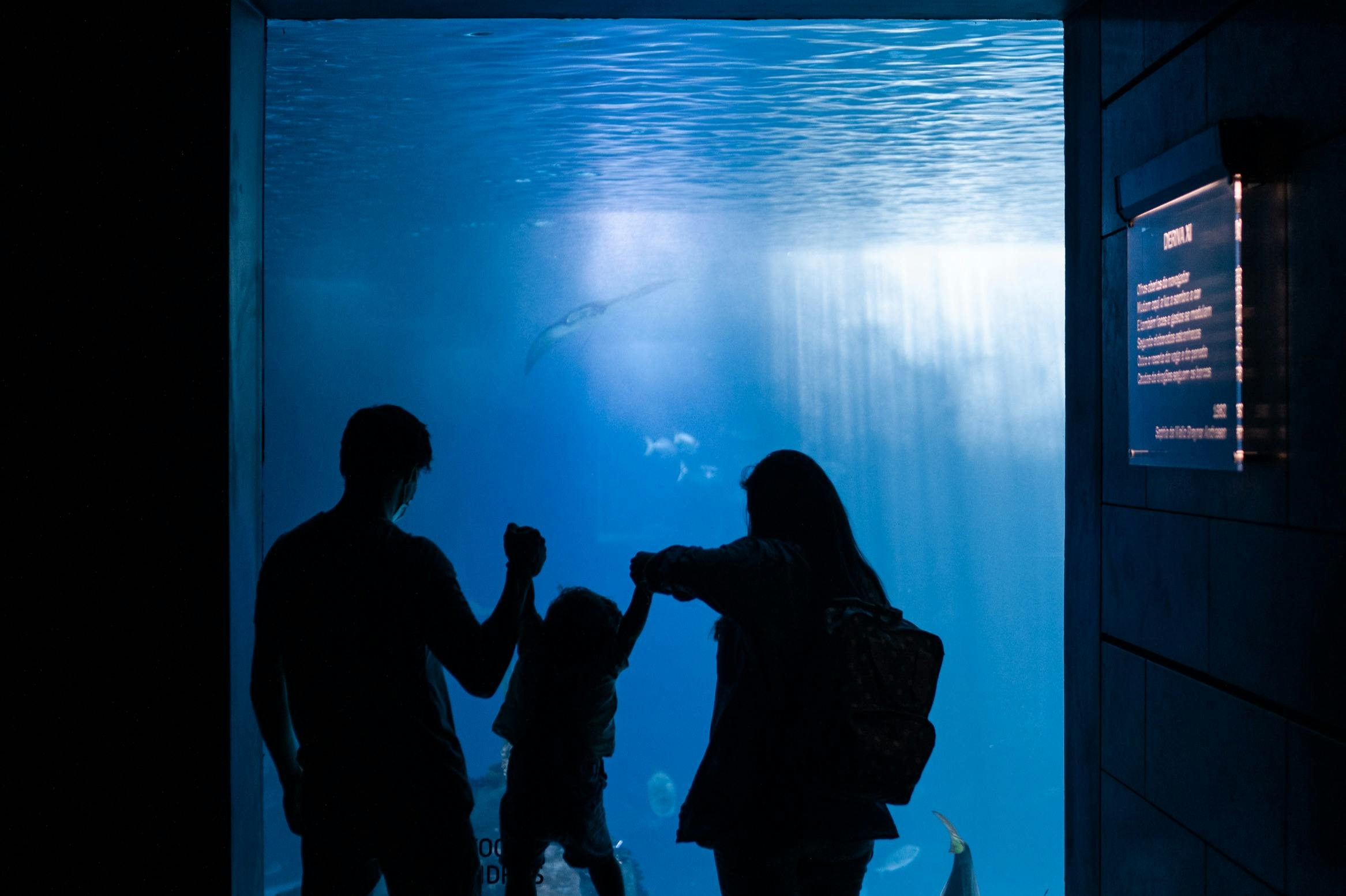Private Guided Tour of Oceanário de Lisboa