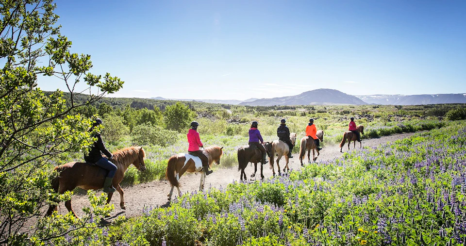 A group of people horseback riding in a lush, green field with purple flowers, under a clear blue sky and distant mountains.