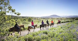 Hafnarfjörður: Excursions à la journée depuis Reykjavik