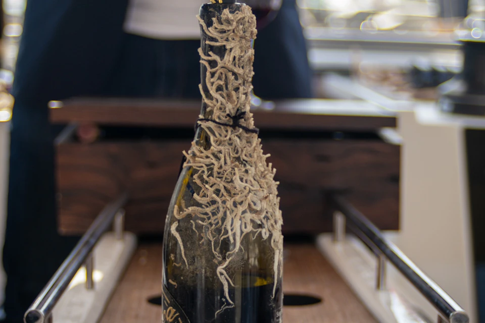 Tasting of underwater aged wines