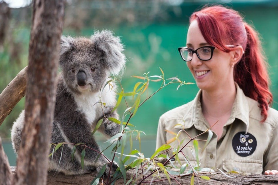 Парк дикой природы Moonlit Sanctuary