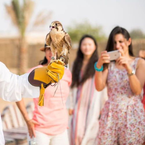 Dubai Hot Air Balloon Flight with Hotel Transfers - Photo 6
