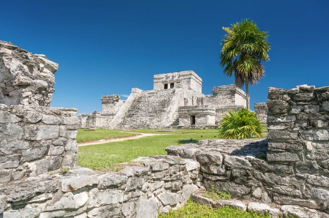 Tulum & Cenote Tour 3