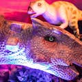 Dino-Safari: Ein begehbares Abenteuer im Horseshoe Las Vegas
