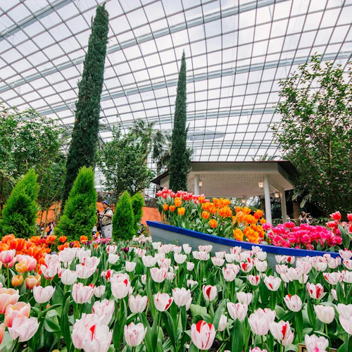 Gardens by the Bay: Supertree Observatory Entry - Photo 2