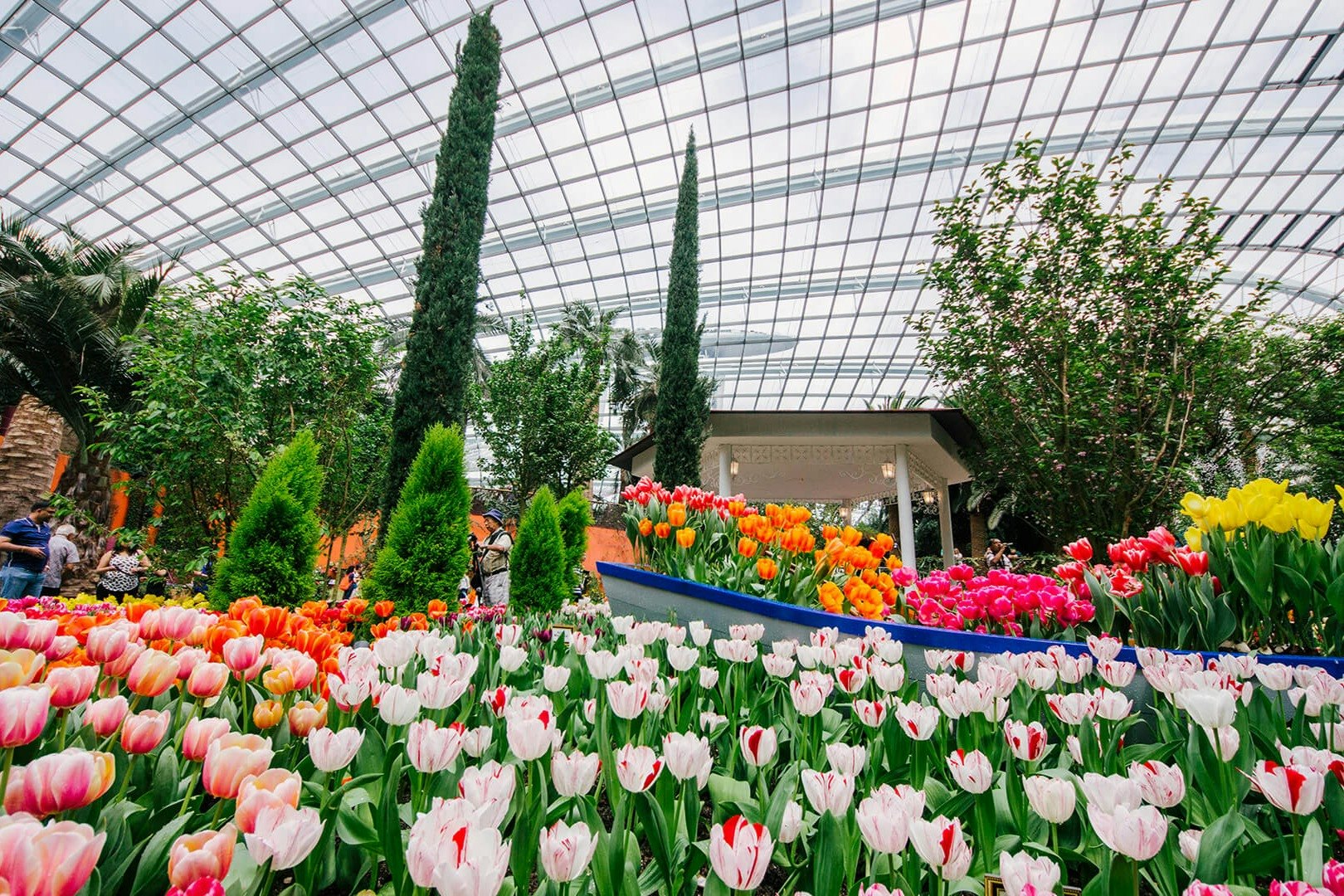 Gardens by the Bay: Flower Dome & Supertree Observatory Entry