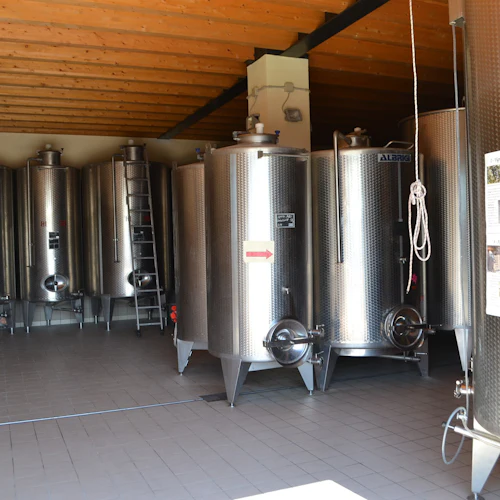 Cantina Fratelli Vogadori: Experiência de degustação de vinhos Valpolicella - Photo 2