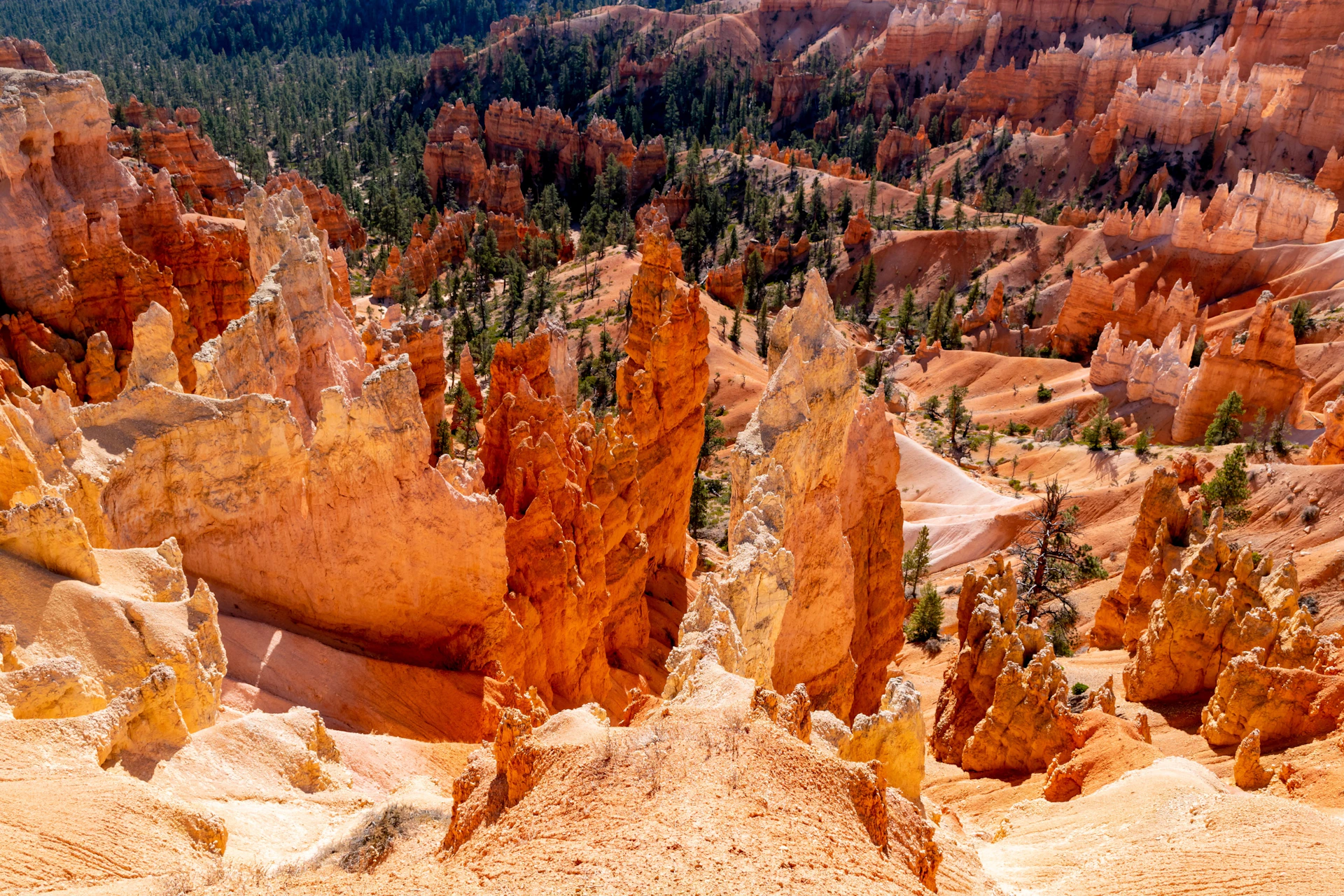 Bryce Canyon