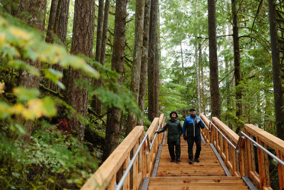 Two people walking on a wooden staircase in a forest surrounded by tall trees on a cloudy day.