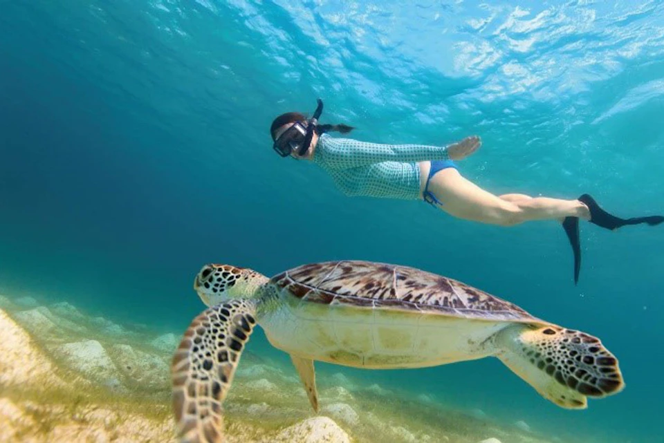 Swimming with turtle