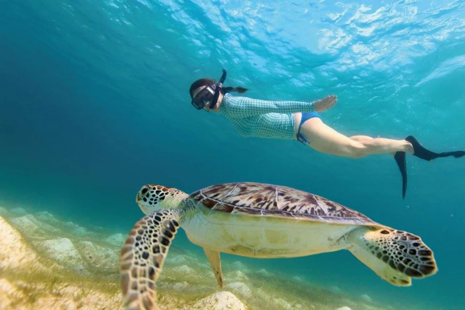 Swimming with turtle