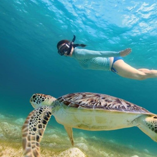 Tulum City, Mayan Ruins & Swimming with Turtles: Day Trip from Riviera Maya