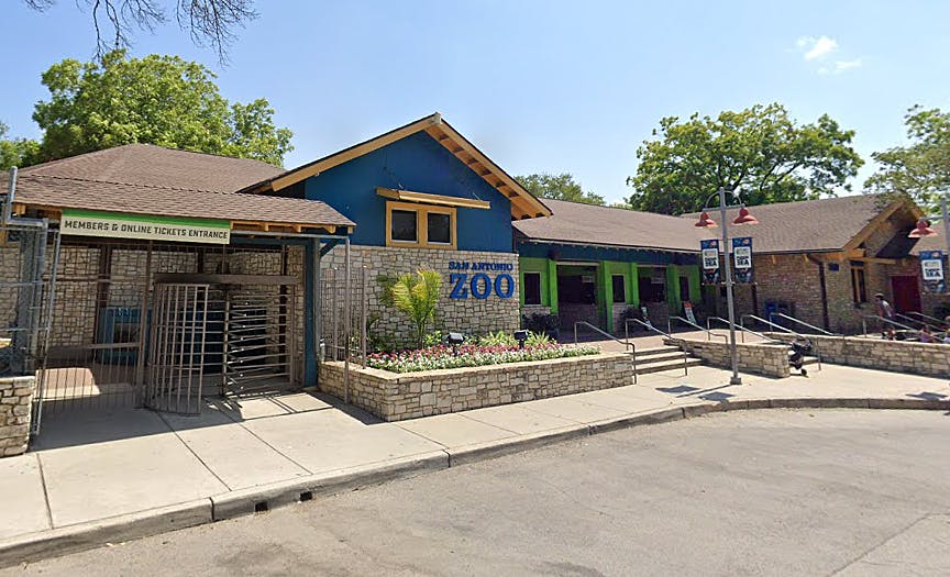 San Antonio Zoo Flexible AnyDay Entry Ticket I Need Tours
