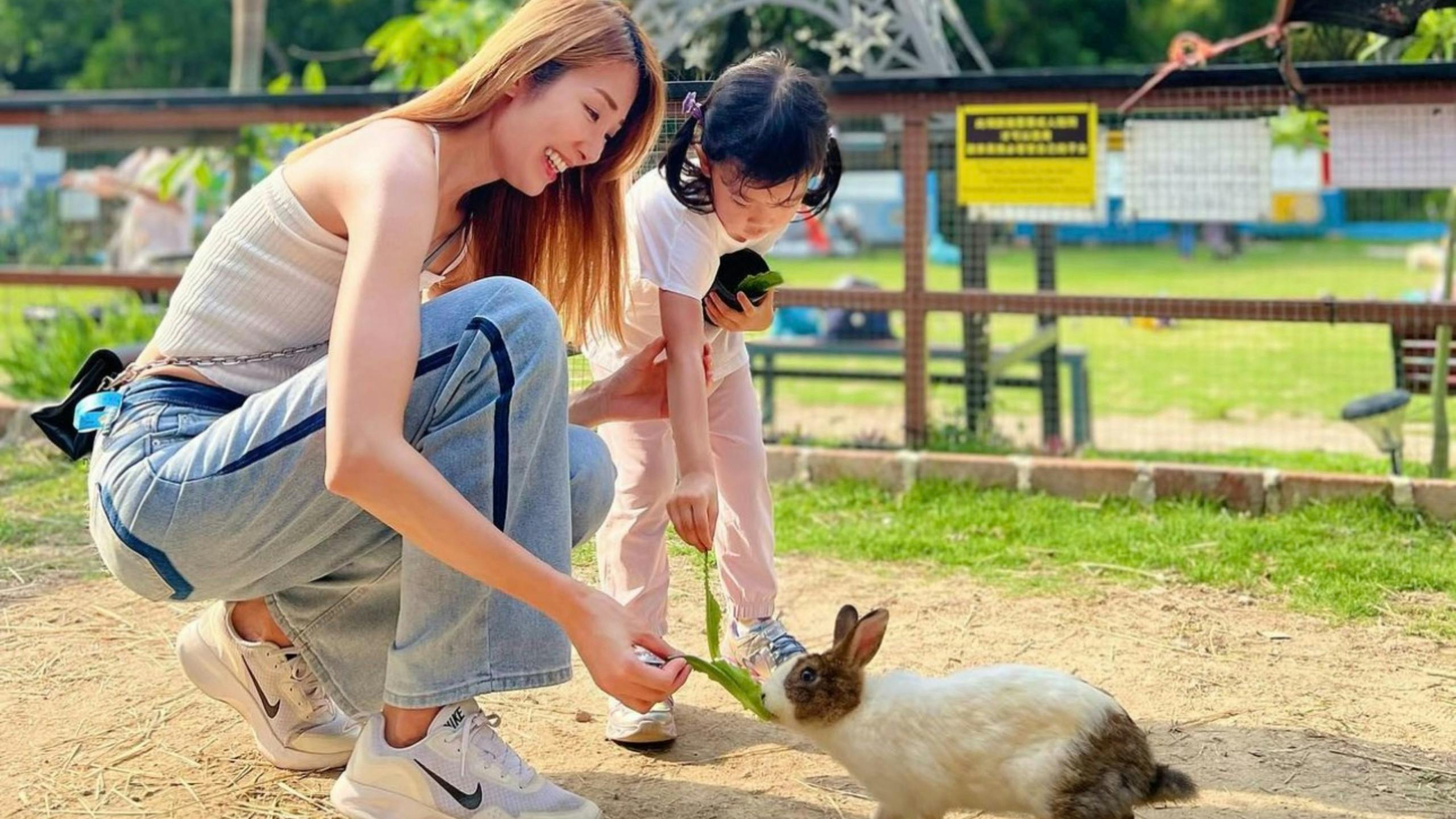 Two people, an adult and a child, feed a rabbit leafy greens at an outdoor petting zoo on a sunny day.