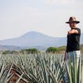 Recorregut per la destil·leria de tequila José Cuervo