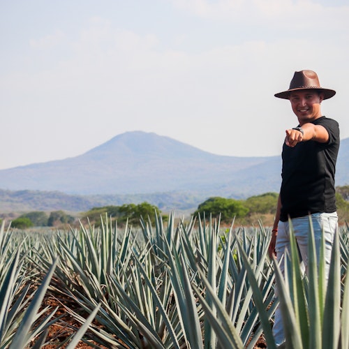 Jose Cuervo Tequila Distillery: Tour from Guadalajara