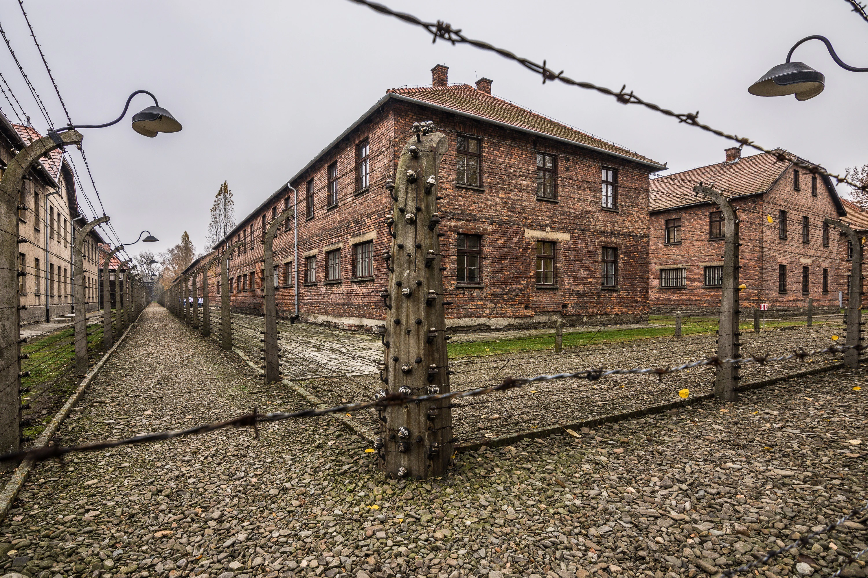 Auschwitz-Birkenau: Day Trip from Katowice