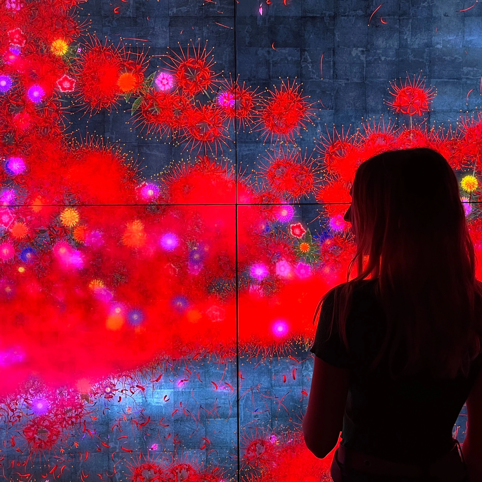 Barcelona: Recorregut a peu pel Born + Entrada als Museus Picasso i Moco