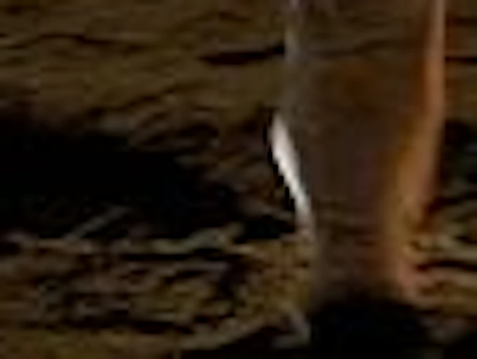 A group of people in a dimly lit cave, one person pointing at the ceiling while another appears to be speaking.