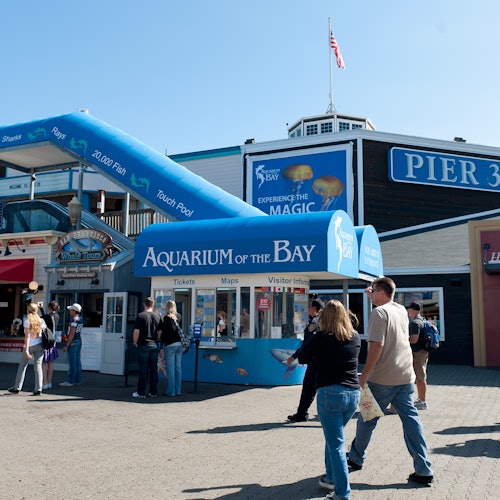 Aquarium of the Bay: Entry Ticket