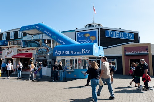 Aquarium of the Bay: Entry Ticket
