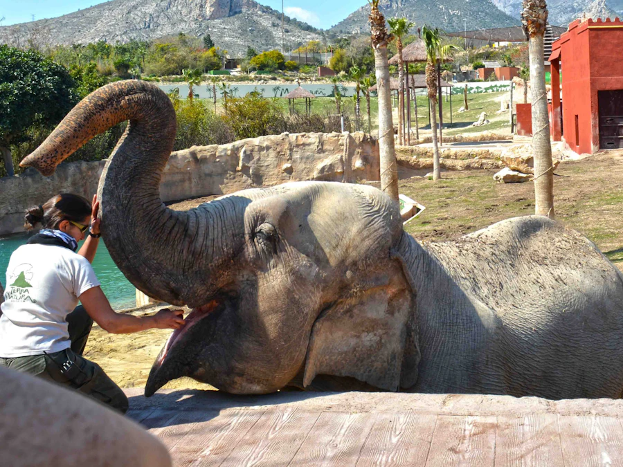 Benidorm Terra Natura Tickets  