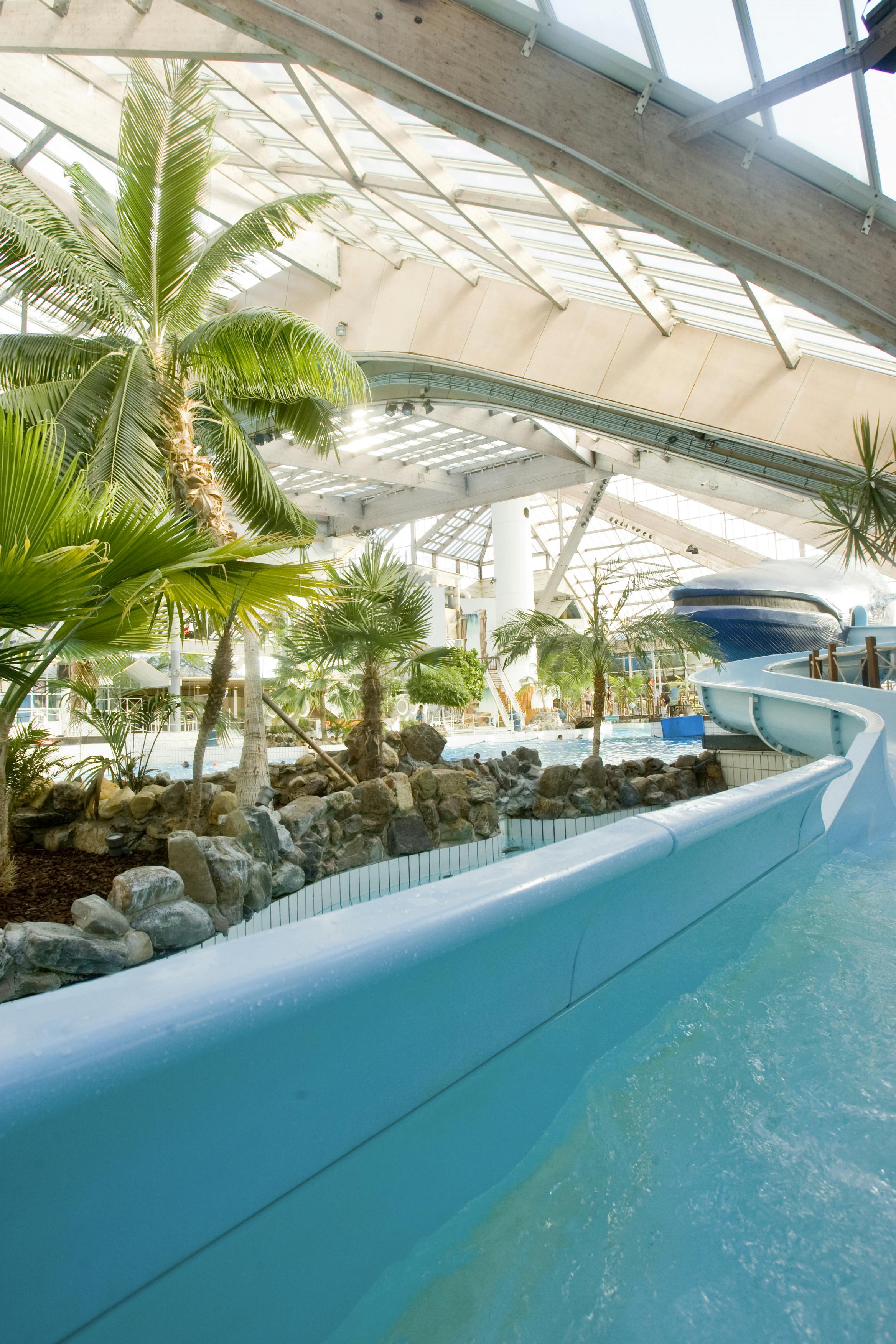 Indoor water park with a tropical theme, featuring a blue water slide, palm trees, rocks, and a large glass roof.