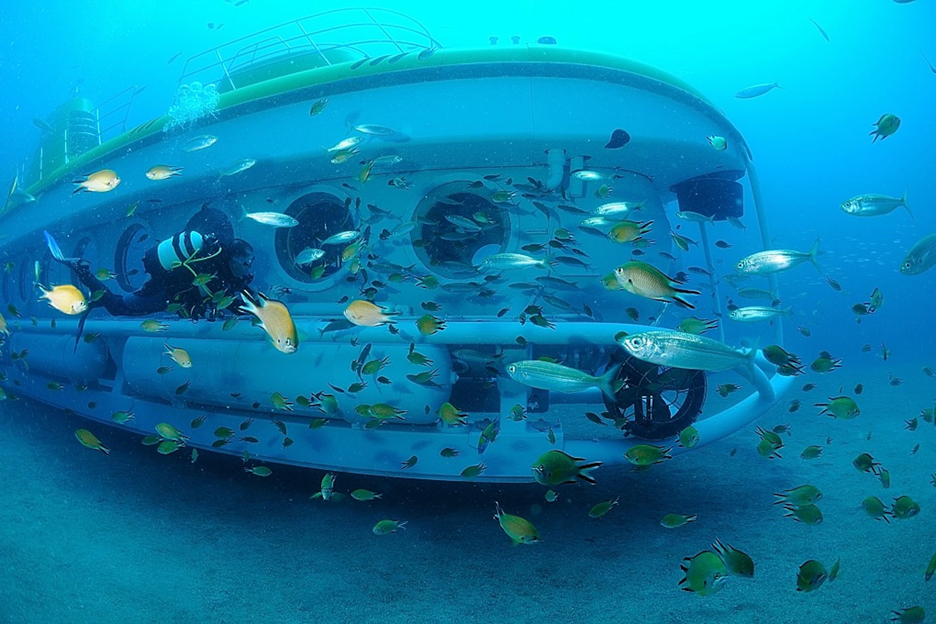 Submarine Safaris