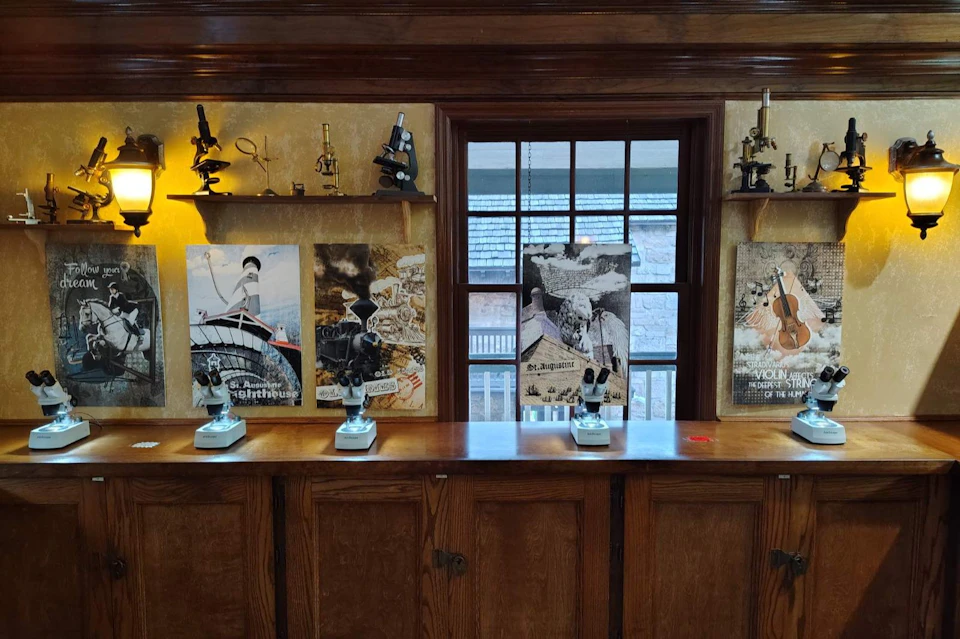 A wooden display with microscopes, posters, and a central window showing an outdoor view.
