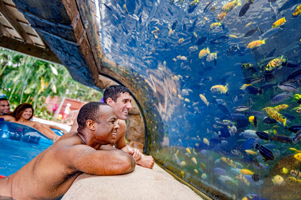 Aquatica Orlando: SeaWorld's Water Park - Accommodations in Orlando