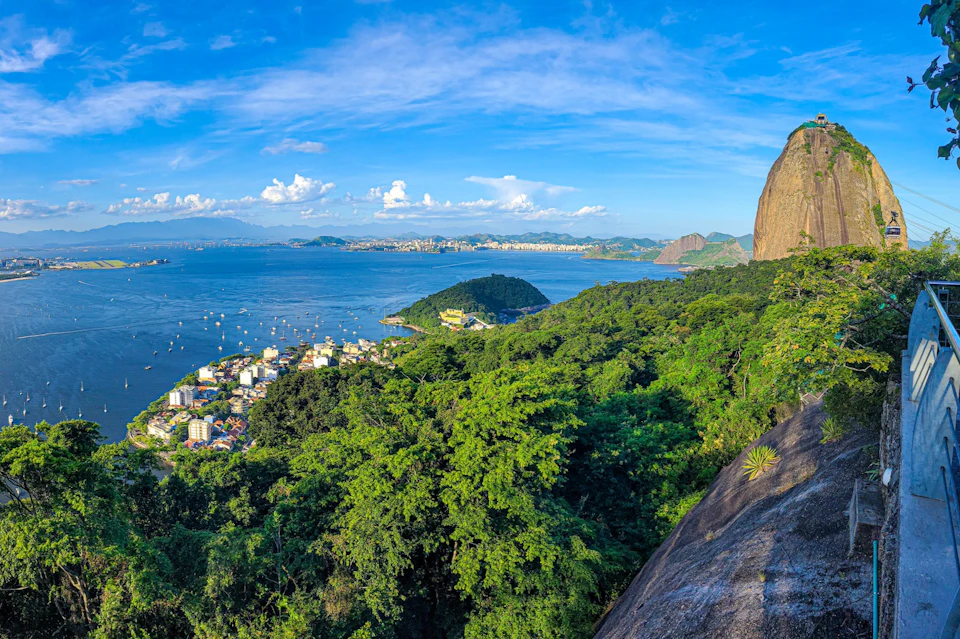 Panoramic view of a coastal city with green hills, dense forests, a bay filled with boats, and a clear blue sky.