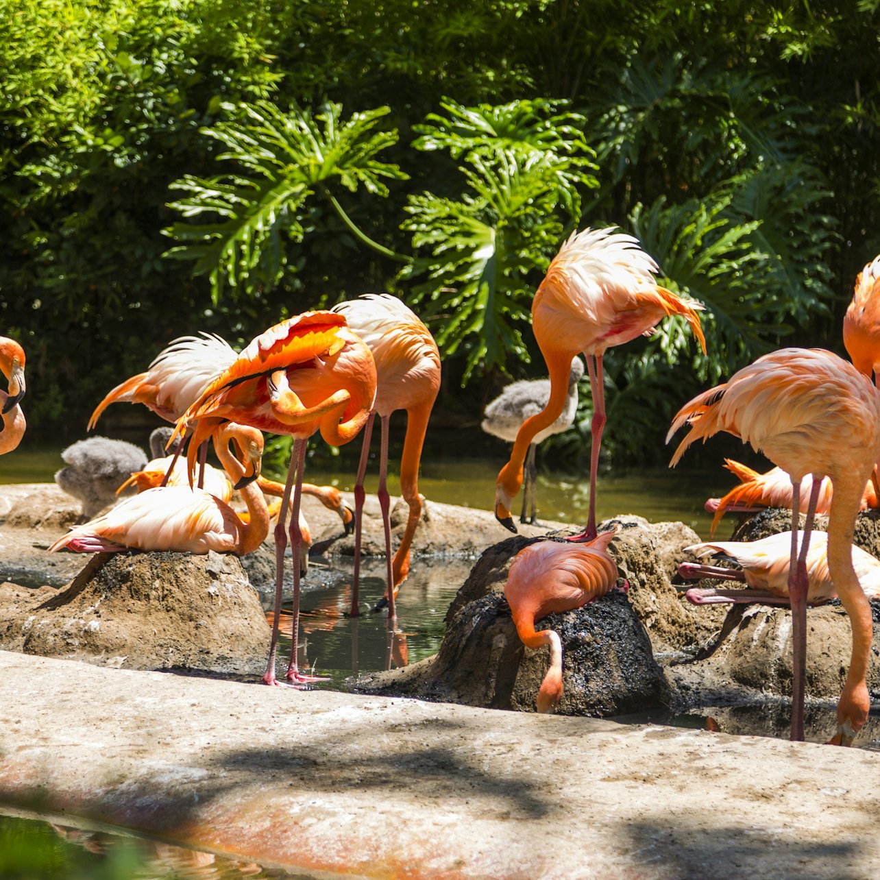 Barcelona Zoo: Skip The Line Ticket in Barcelona β Tiqets