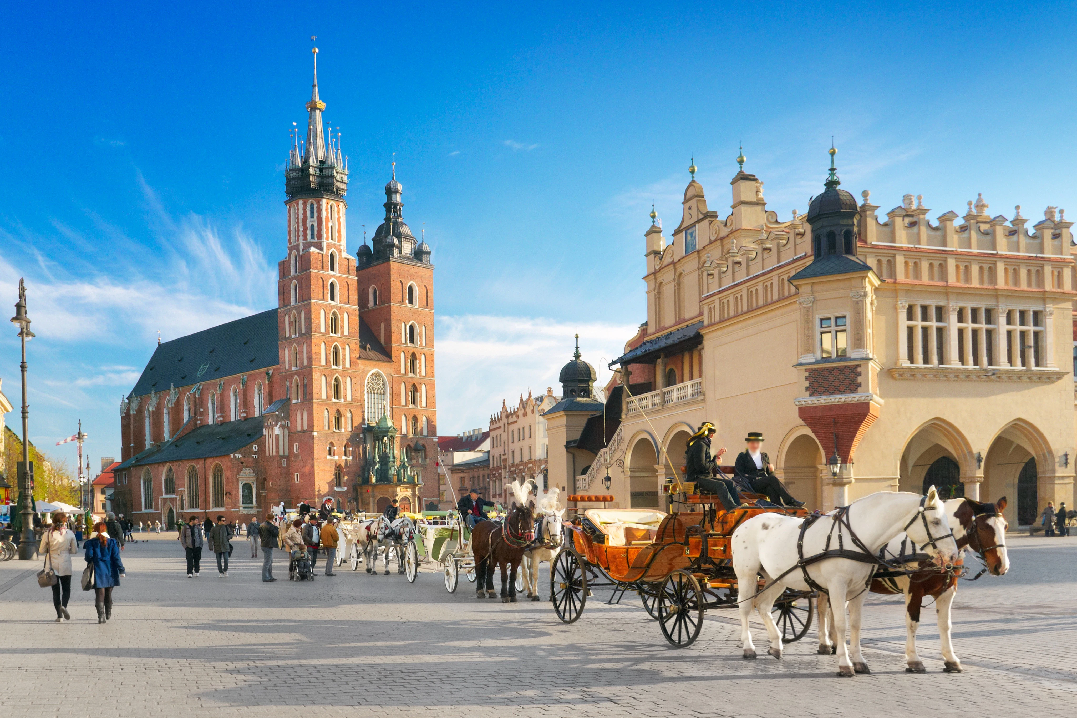 Old Town & Wawel Hill Krakow: Private Morning Guided Tour