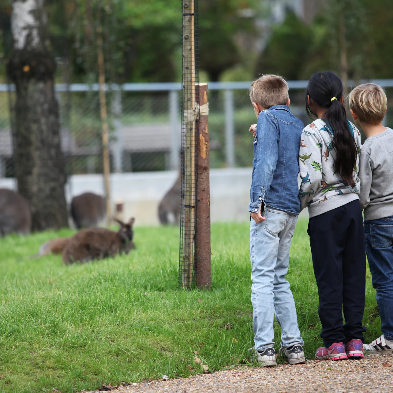 Copenhagen ZOO: Skip The Line Ticket in Frederiksberg β Tiqets