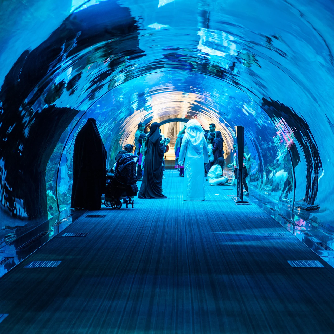 Dubai Aquarium & Underwater Zoo: Platinum Pass 2