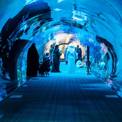 Dubai Aquarium & Underwater Zoo: Platinum Pass 2