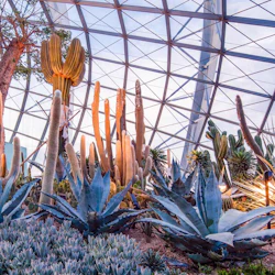 Gardens by the Bay: Supertree Observatory Entry 5