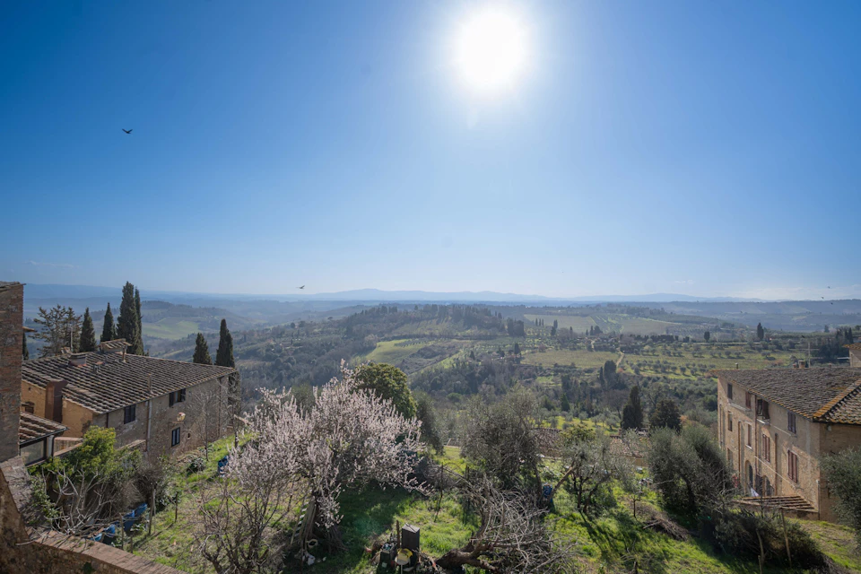 A sunny countryside landscape with rolling green hills, a stone house, and blooming trees under a clear blue sky.