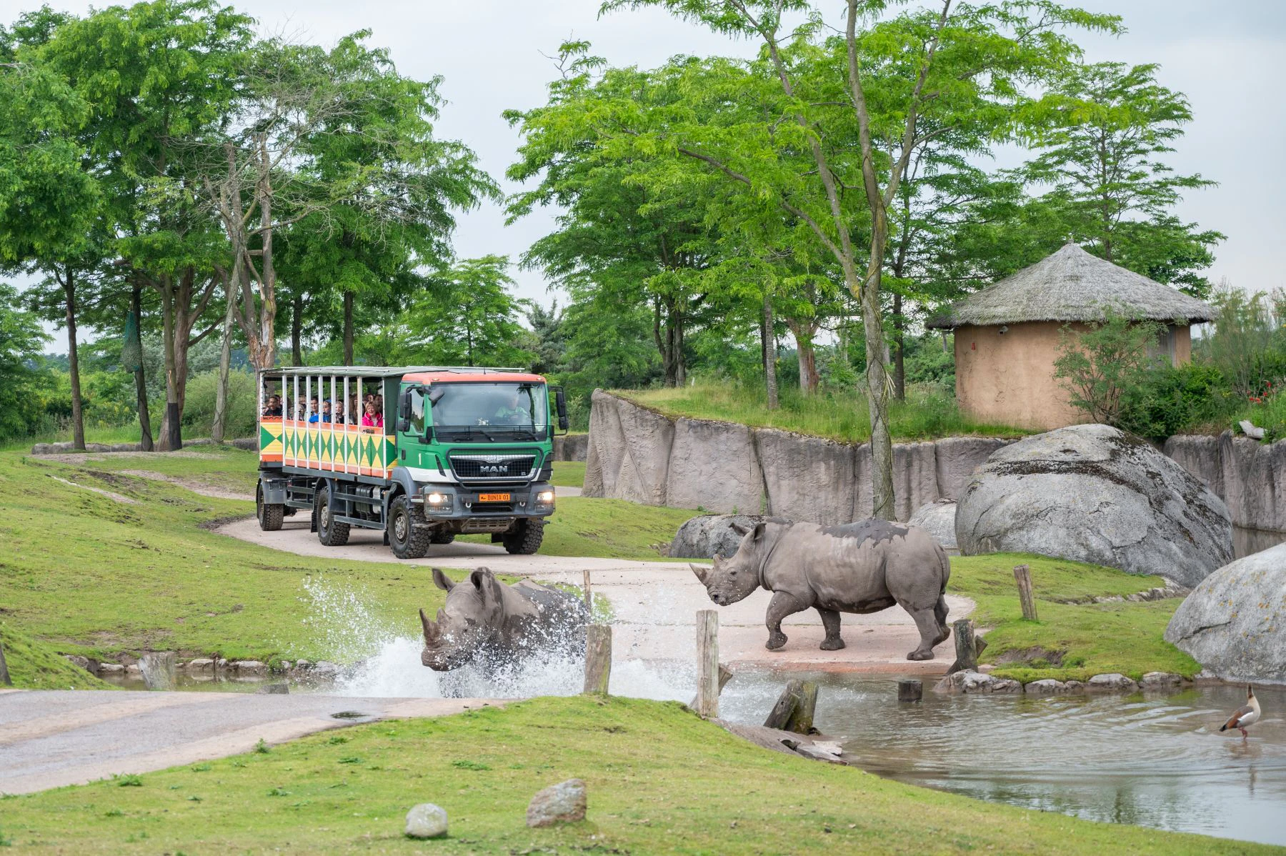 WILDLANDS Adventure Zoo Emmen — Tickets from €30