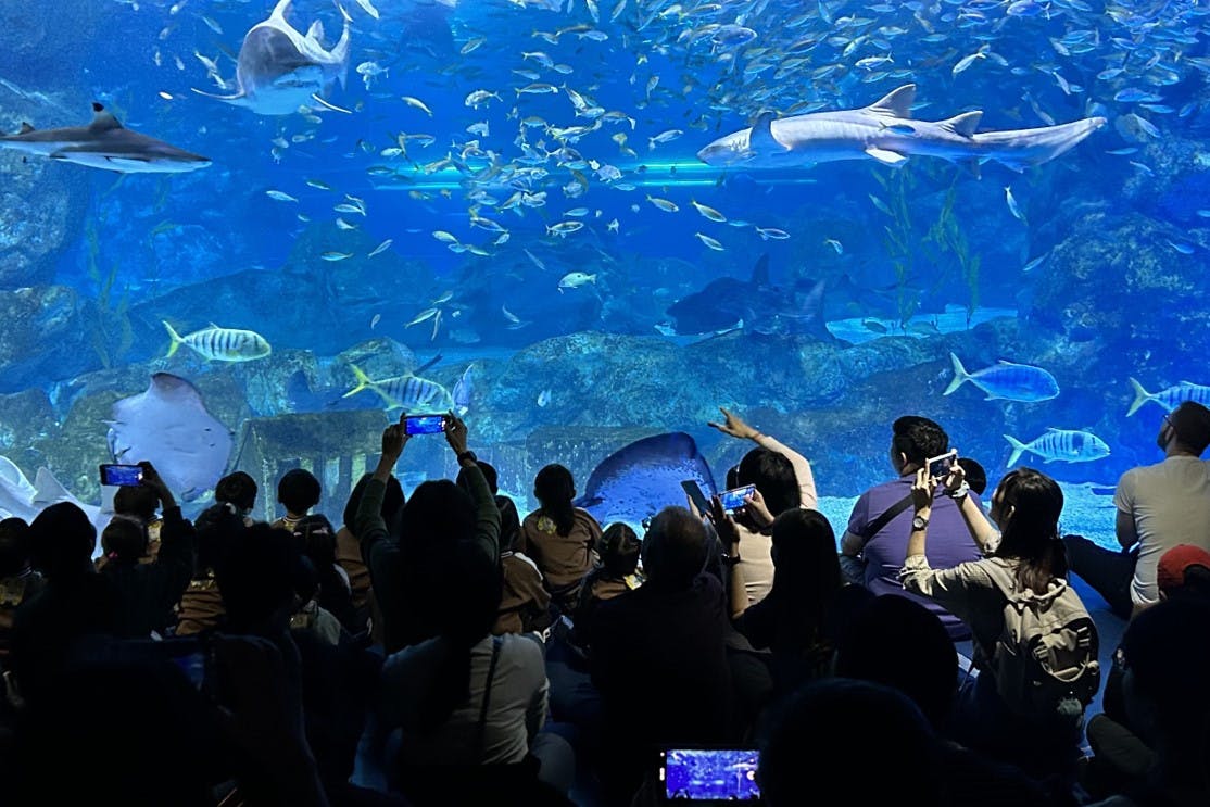 Aquário Coex: Bilhetes